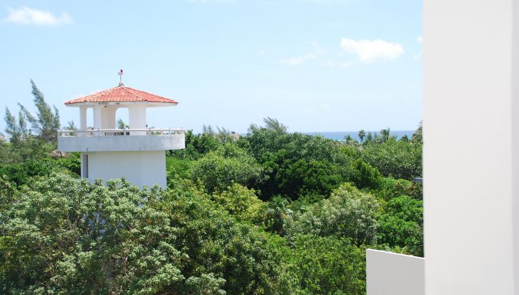 DSC_0044